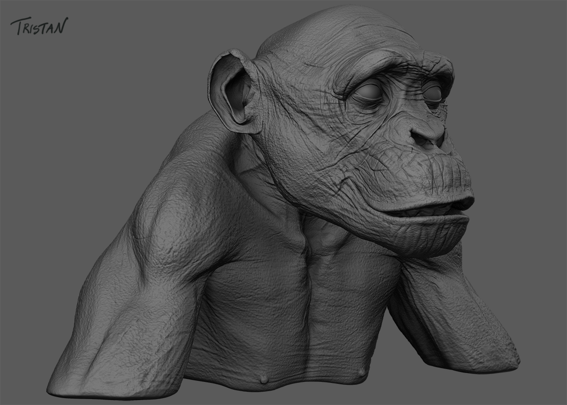 Monkey_WIP_V2_02.jpg