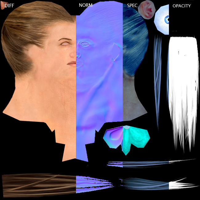 TexturesHead.jpg