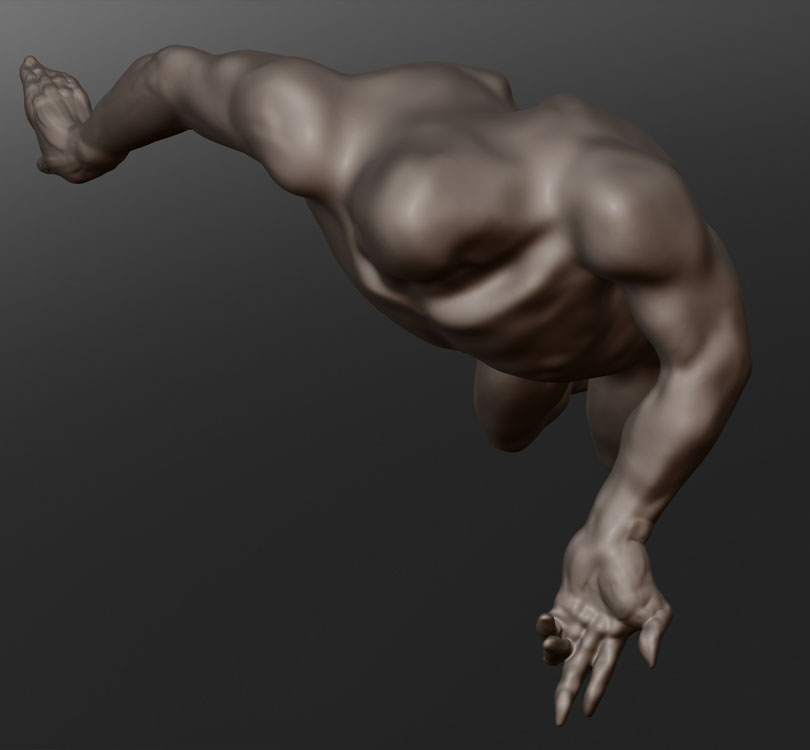 CLASSICAL TORSO 14.jpg