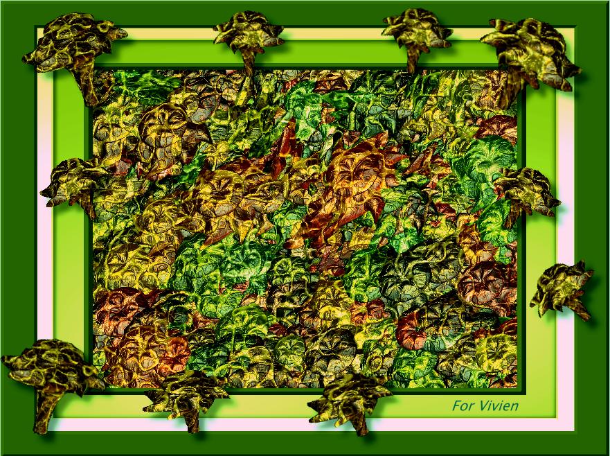 viv.jpg