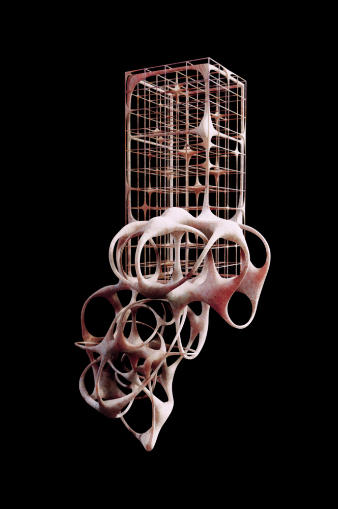 HR_1637.jpg