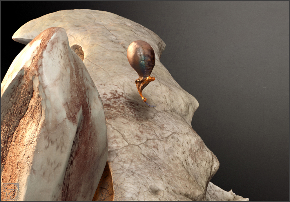 Thill Step 13 Final Accessories D.jpg