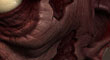 Wip_03_thum.jpg