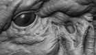 alienhead_02_t.jpg