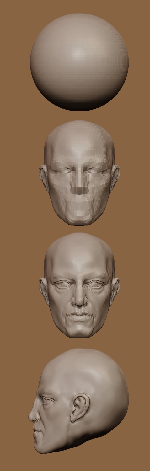 Head_Sketch.jpg
