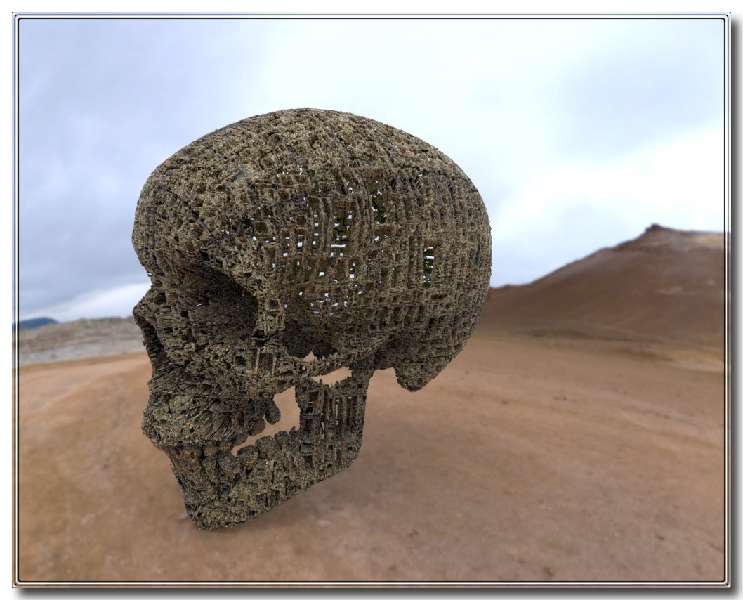 Disp_Skull2.jpg