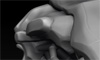 thumb_003.jpg