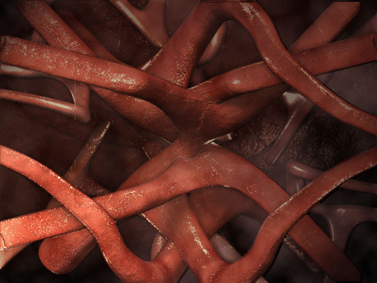veins2-web-post.jpg