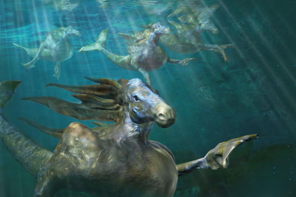 hippocampus2.jpg