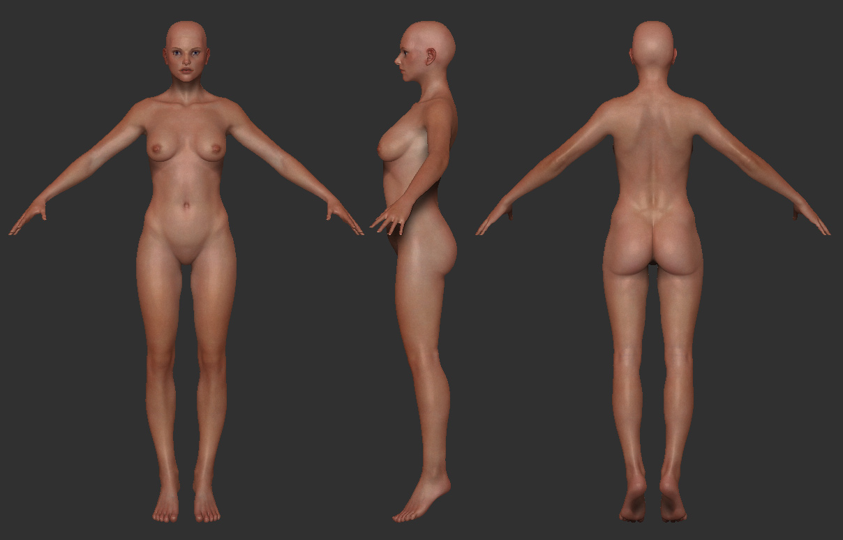 fem_wip_03.jpg