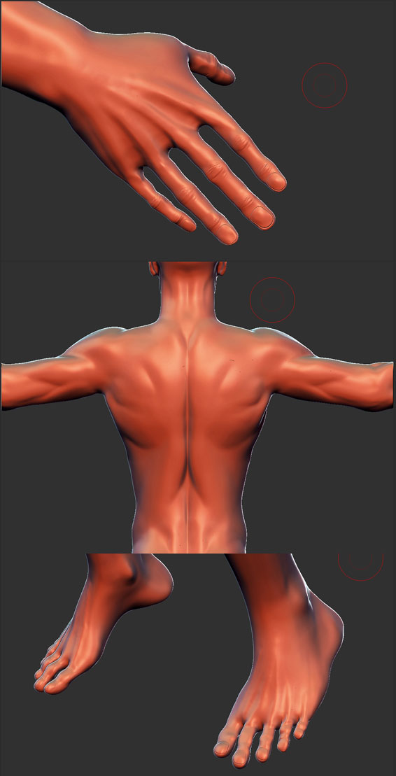 detailMesh.jpg