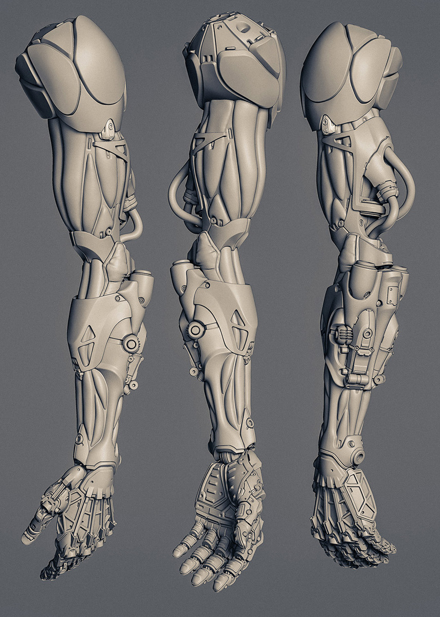 11DX_arms_Z2.jpg