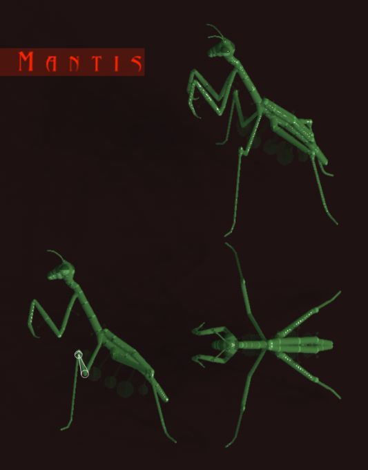 mantys.jpg