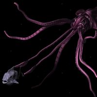 tn_squidage5thumb.jpg
