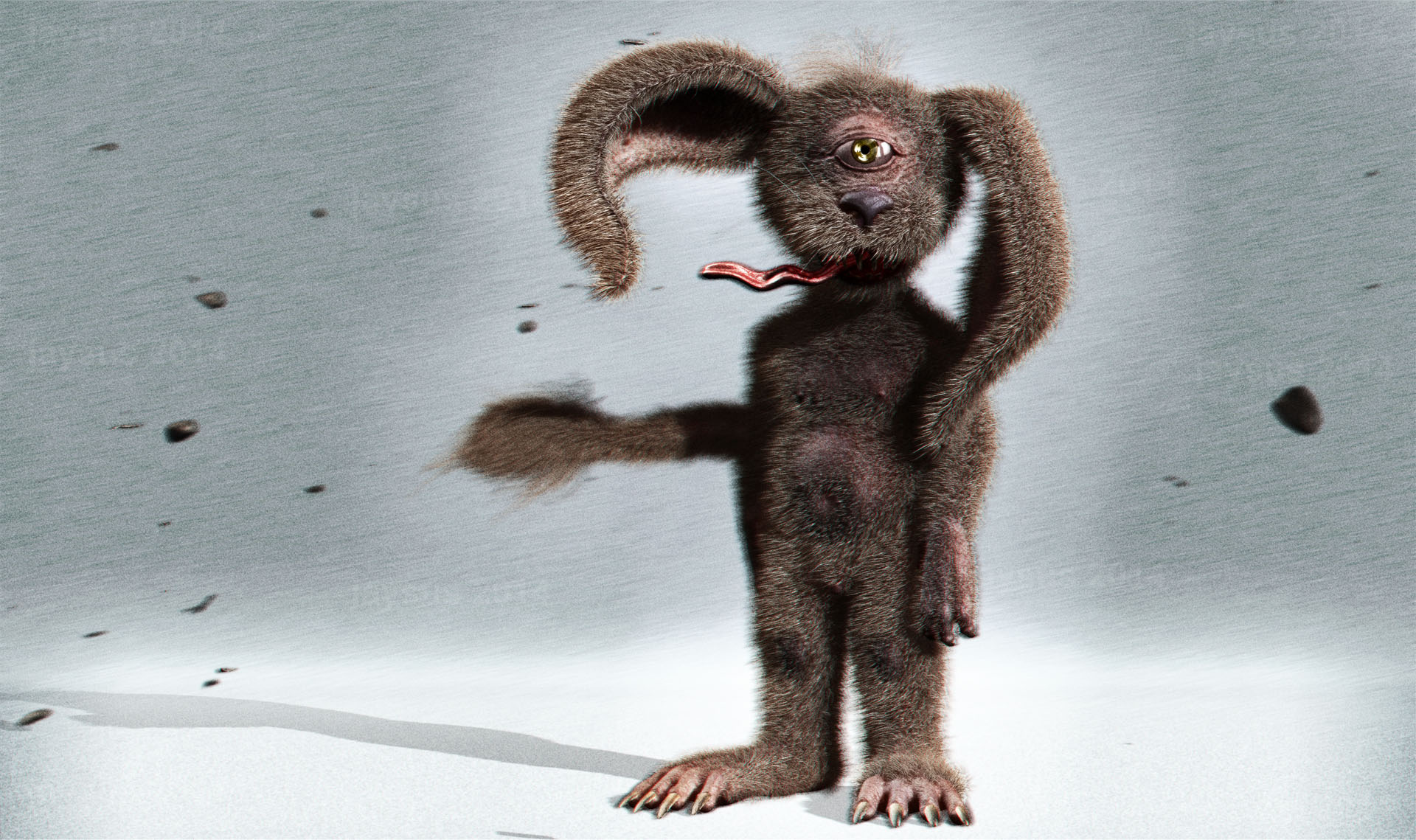 Critter_D07_cc_small.jpg