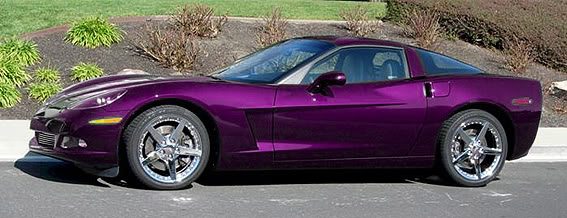 purple2.jpg