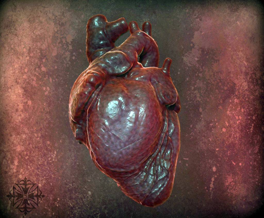 heart.jpg
