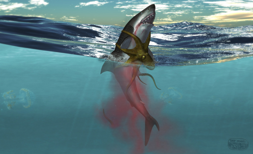 DG_Shark_vs_Octopus_low.jpg