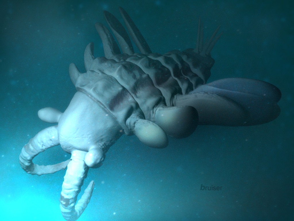 anomalocaris001.jpg