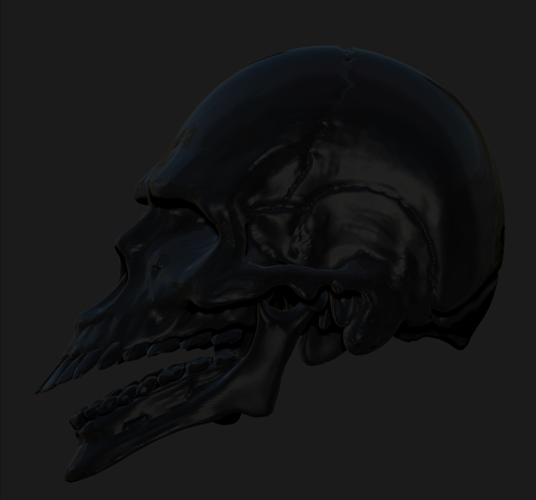 WARPED SKULL 4.jpg