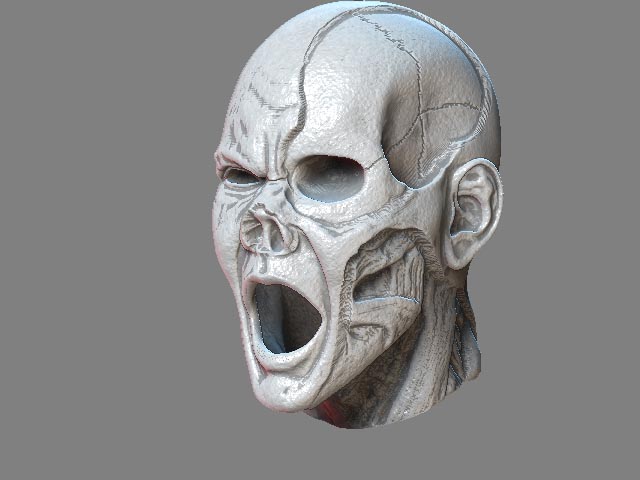 jack.jpg