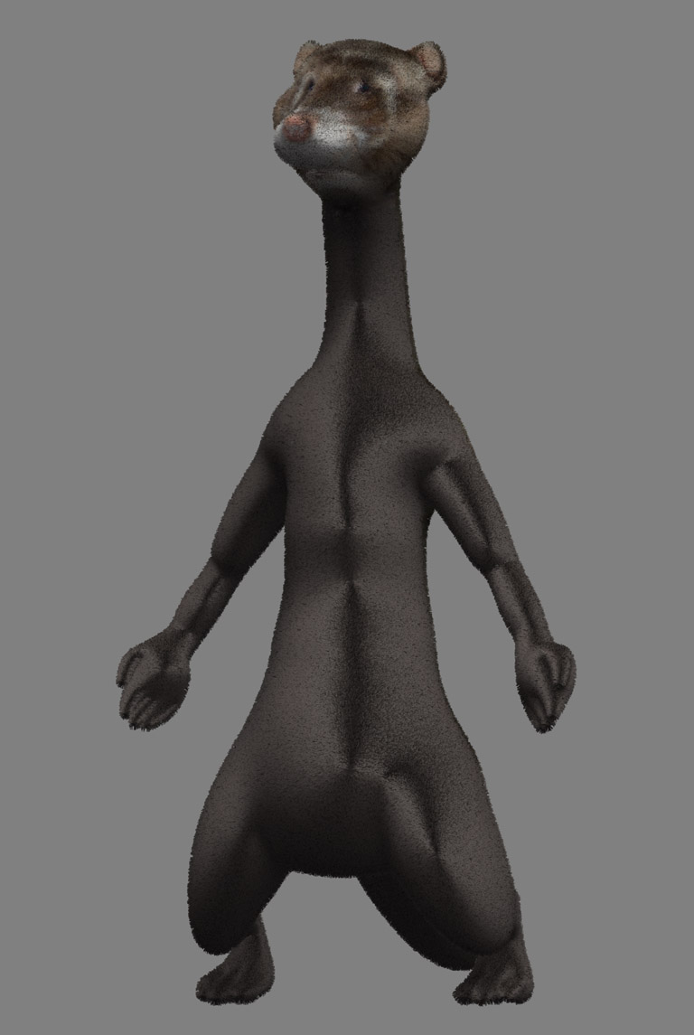 FerretFibreTest.jpg