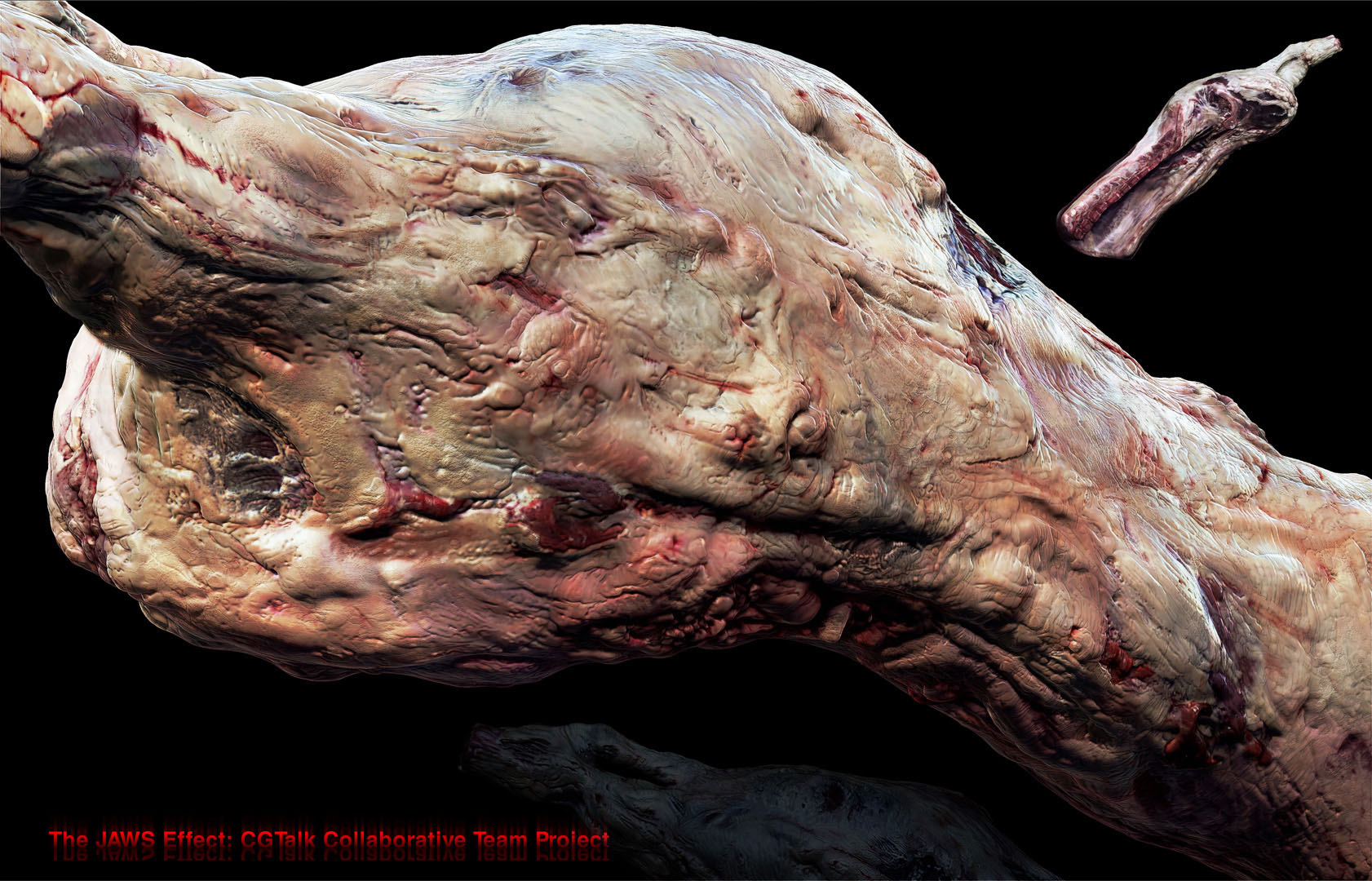 small Meat03.jpg