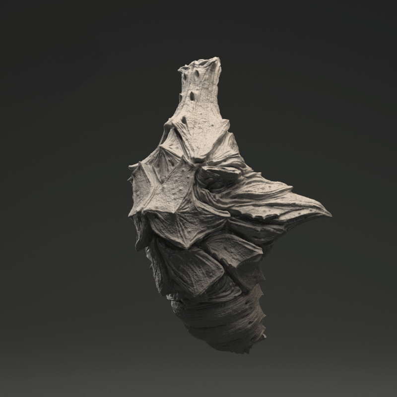 Metapod.gif
