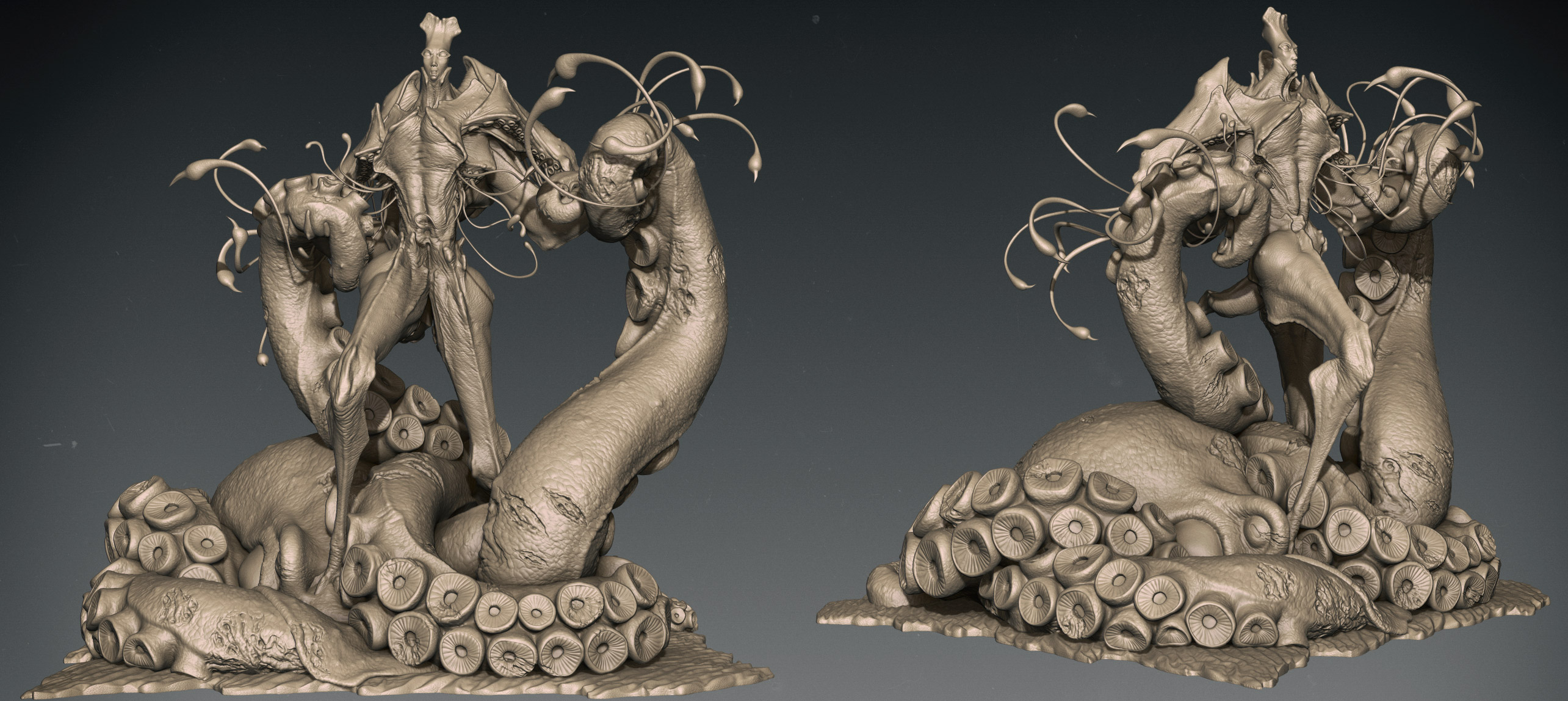 Squid01.jpg