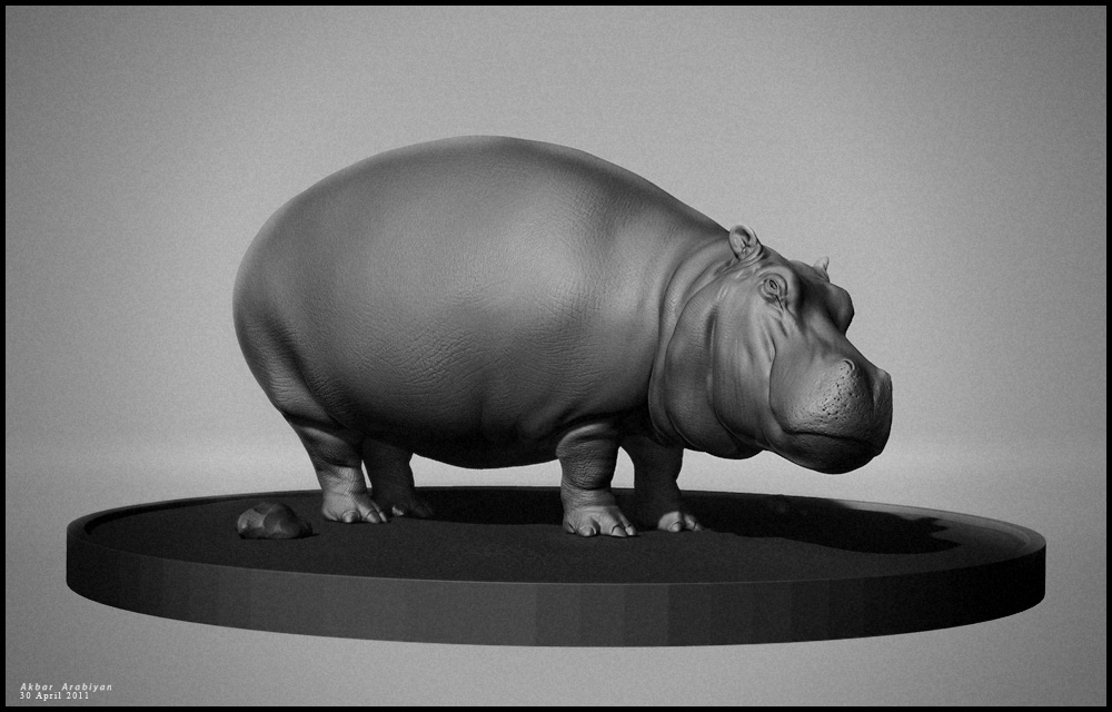 Hippopotamus.jpg