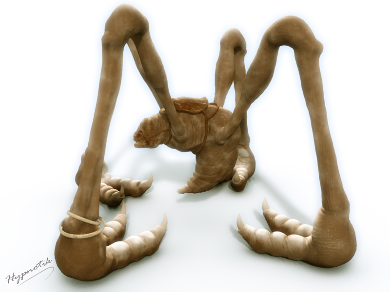 _spider-maya.jpg