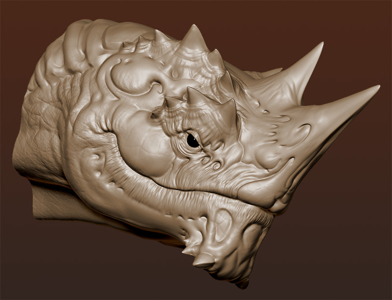 hippohead2a.jpg