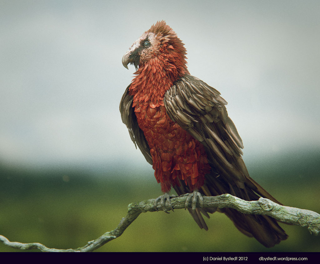 bearded vulture side low res.jpg