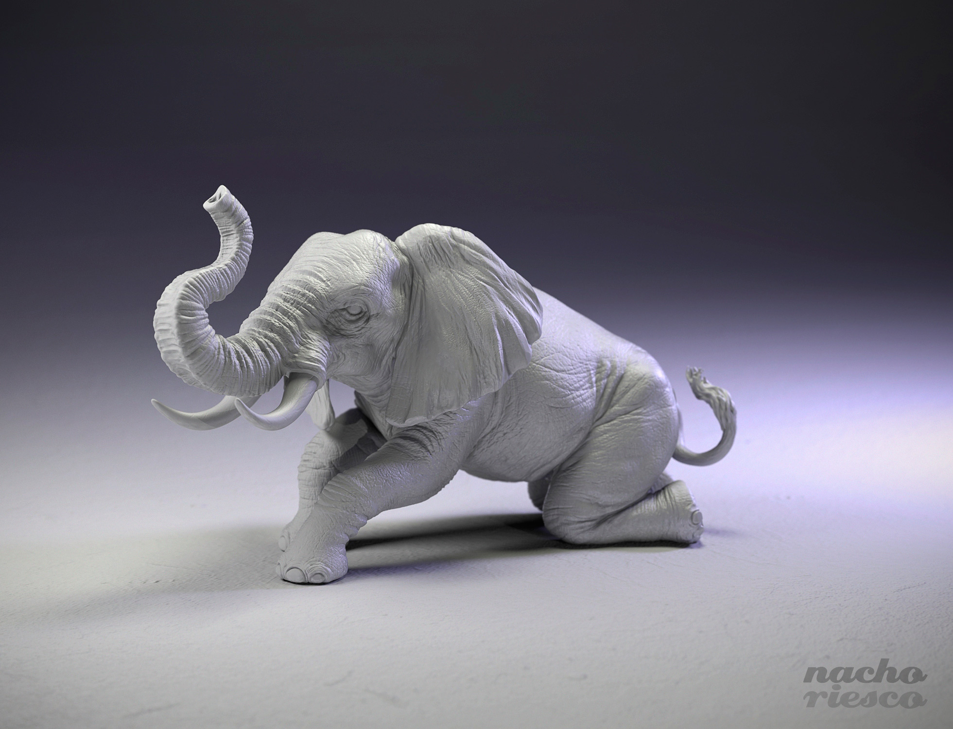 Elephant3D_500k.jpg