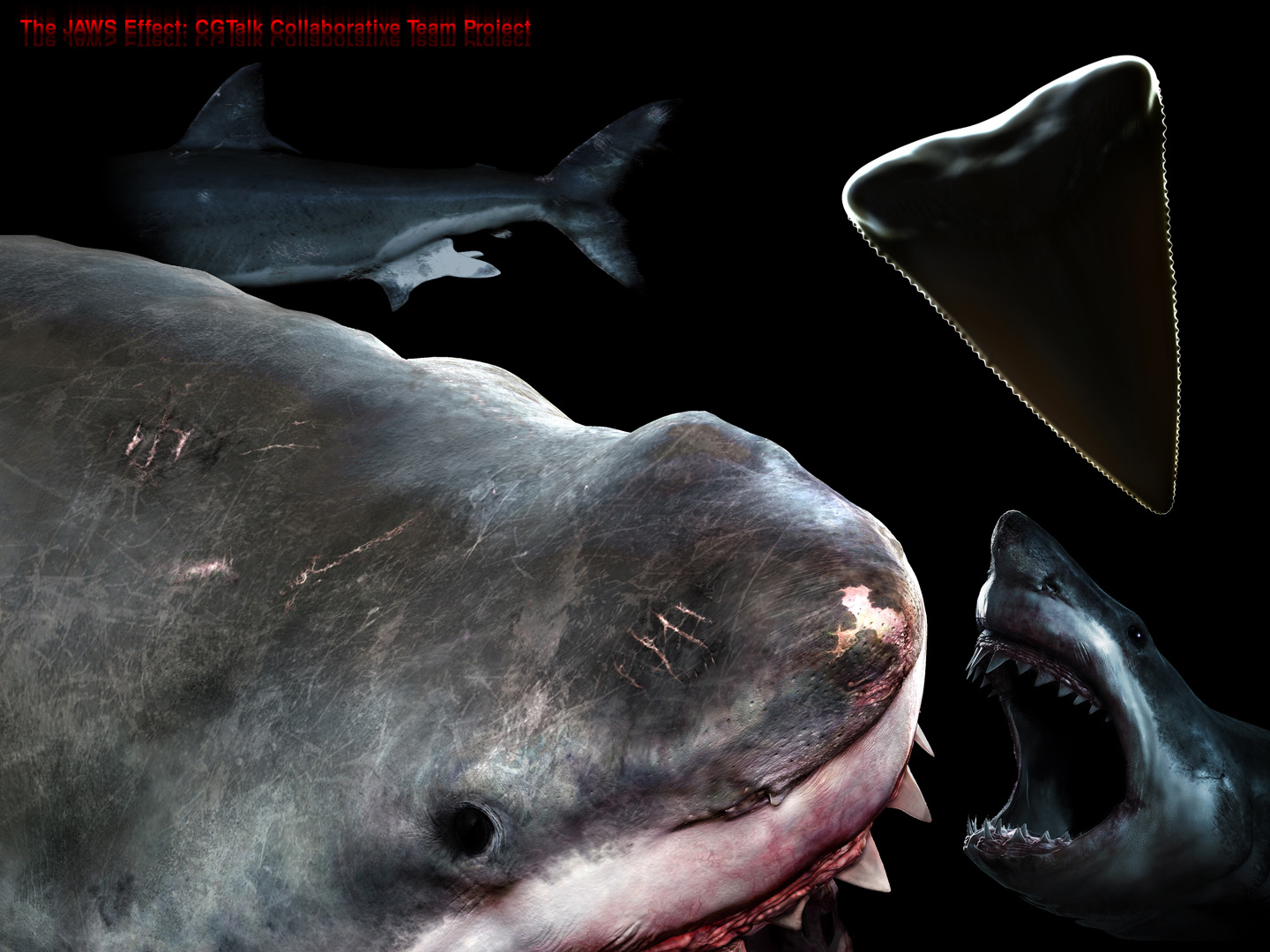 small Tooth 02.jpg