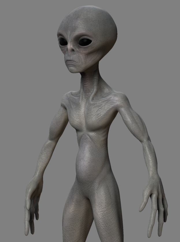 Wip7.JPG