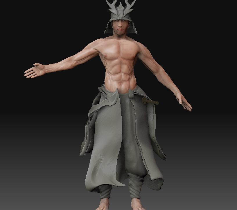 Samurai_Skin.JPG