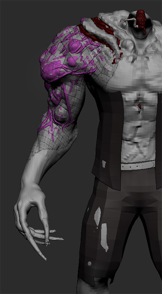 z01.jpg