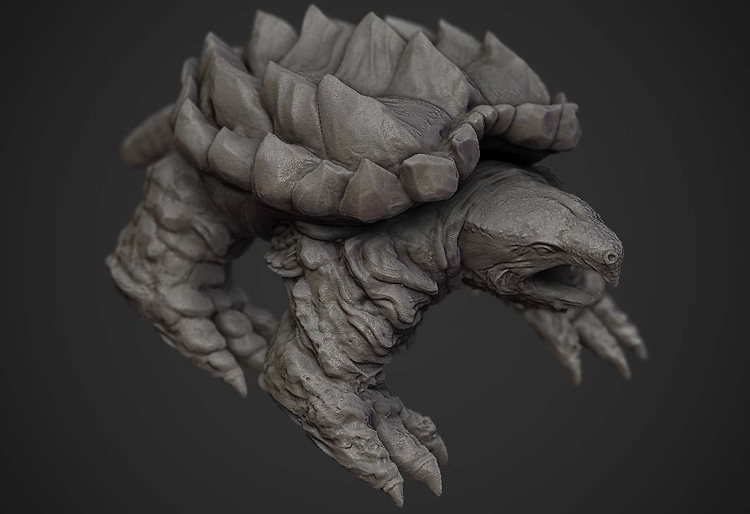 turtle03.jpg