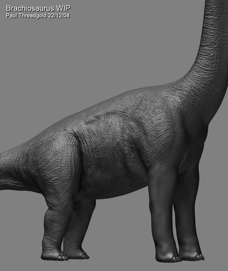 brachiosaurdetail5.jpg