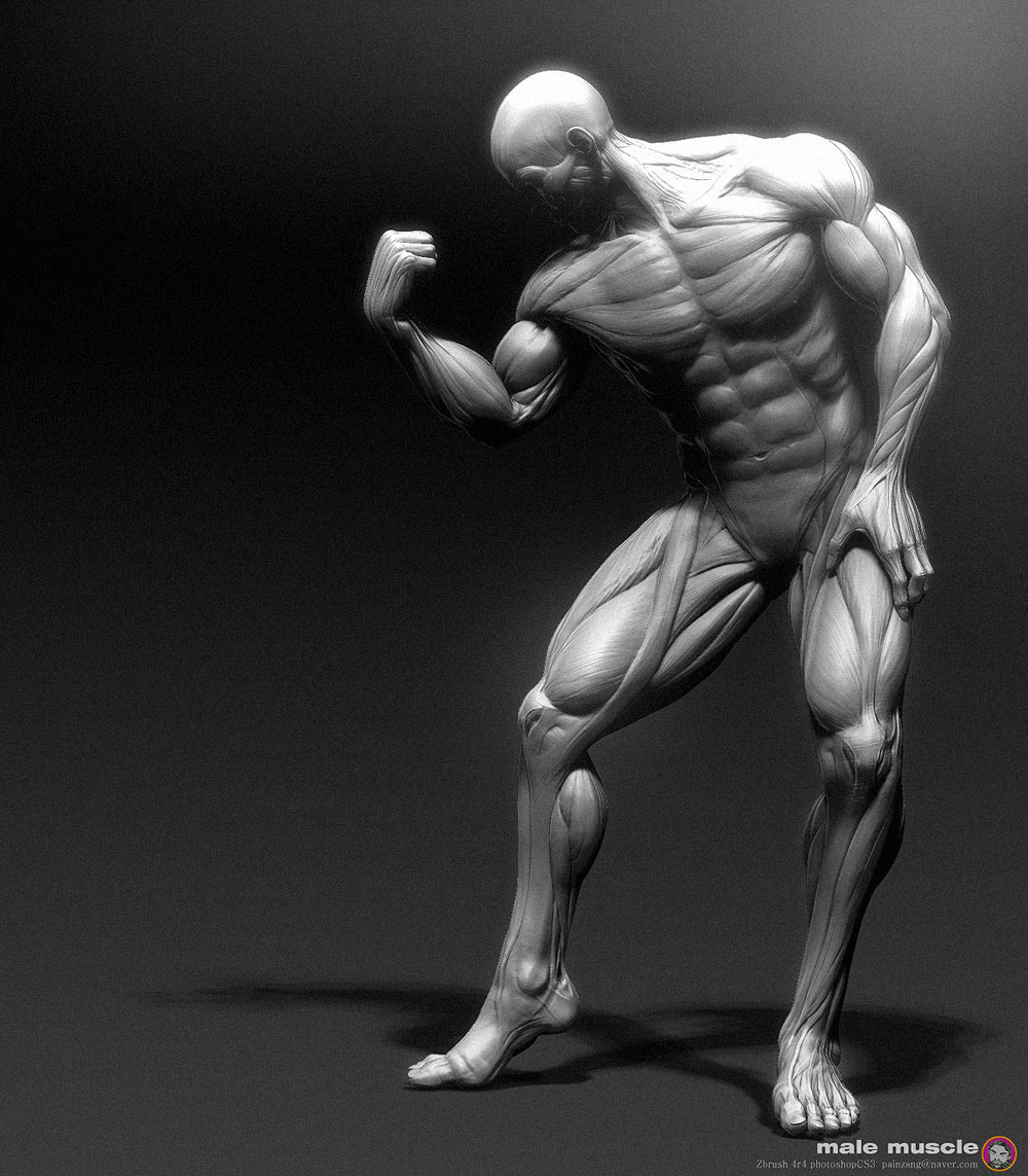 muscle_pose1-painzang11.jpg