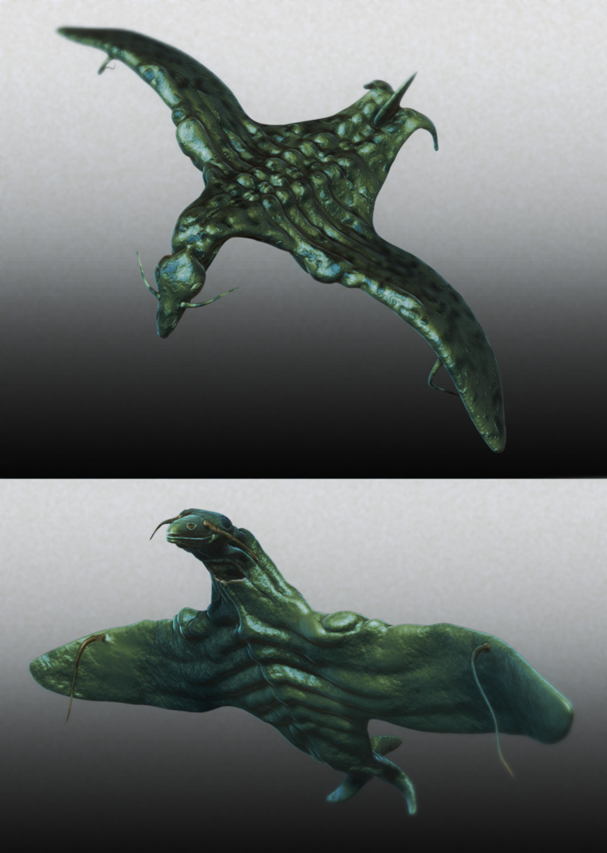 mantabird.jpg