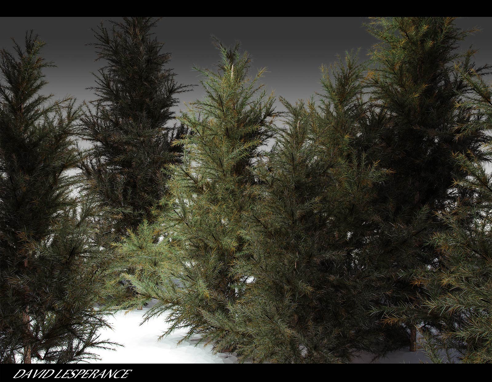 treegen.jpg