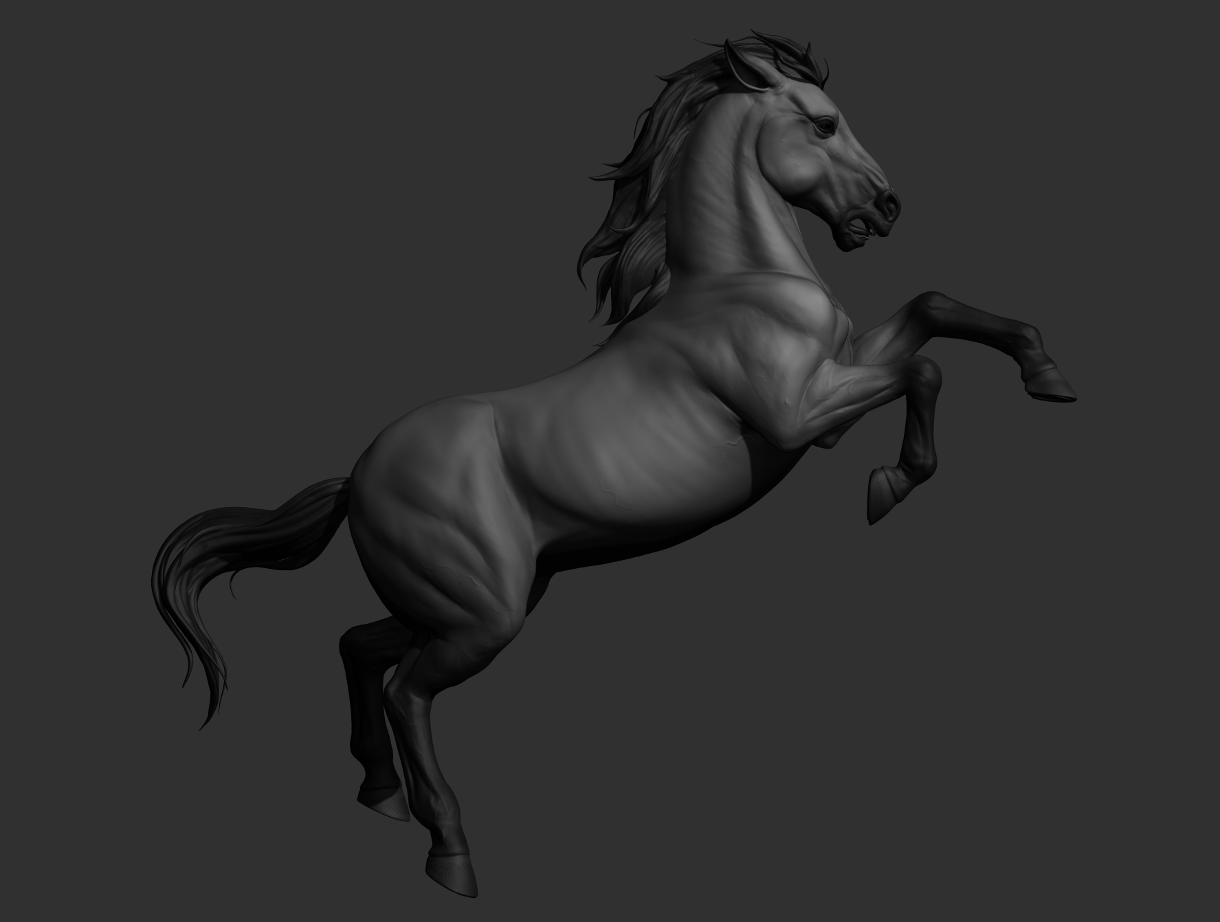 horse03.jpg