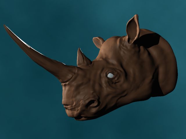 rhino.jpg