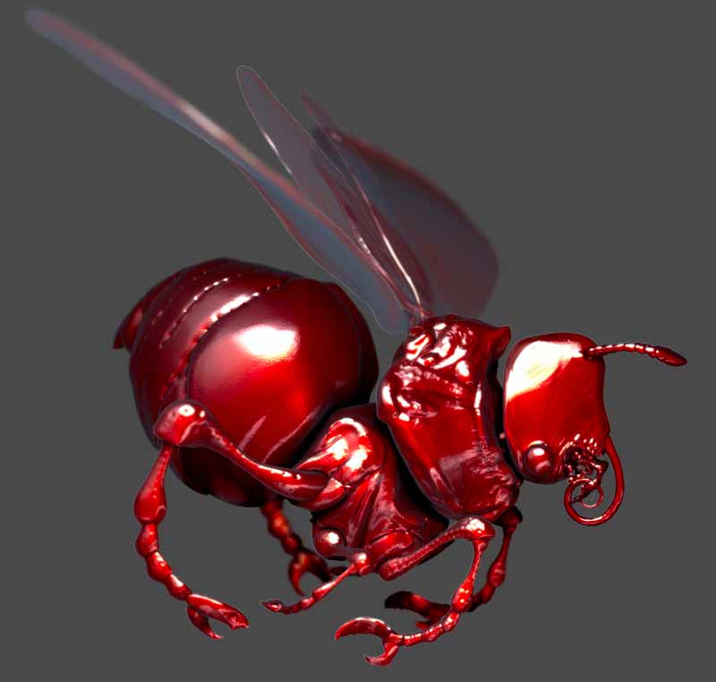 dumDumFly4.jpg