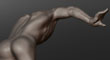CLASSICAL TORSO 14.jpg
