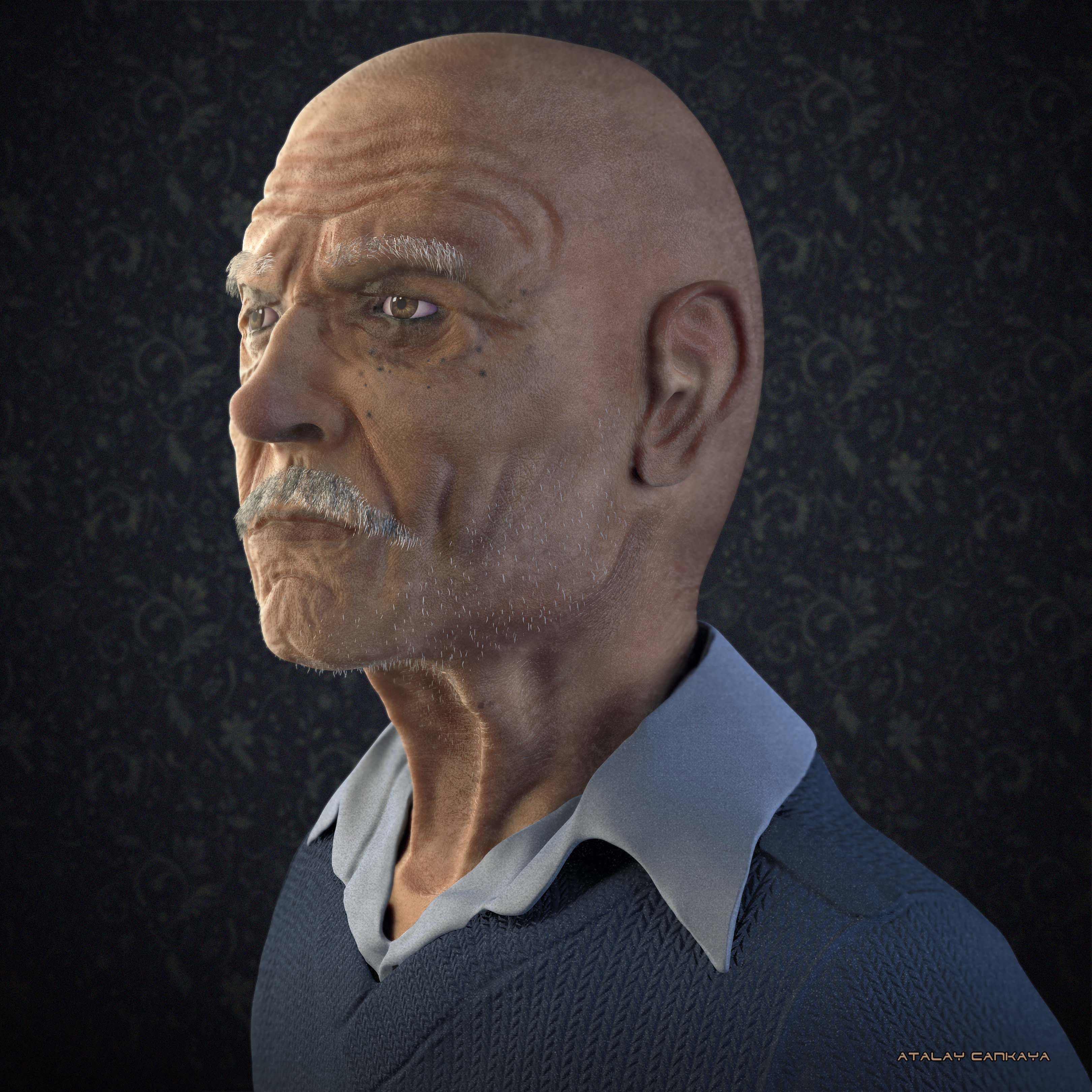 Old Man 3.jpg