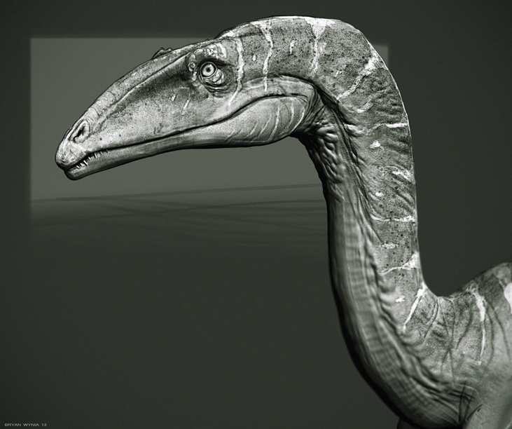 CoelophysisStudy01_web.jpg