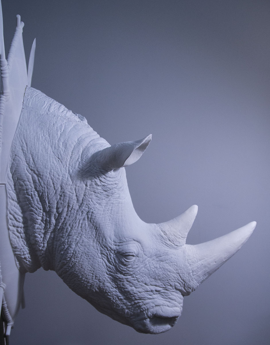 siderhino.jpg